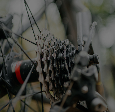 Producción anual de ruedas libres para bicicletas